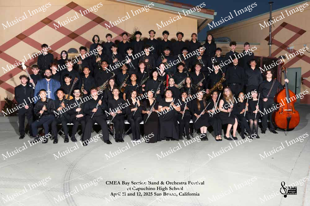 Musical Images